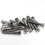 Alternator Chaincase Slotted Screw Kit: BSA A7 & A10