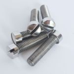 Norton Gearbox Cover Screws Slotted